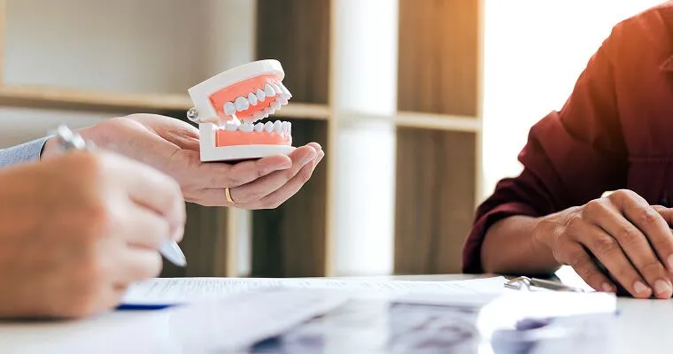 Model of dentures demonstrated by a doctor